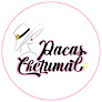 Pacas Chetumal