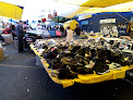 Tianguis Del Auditorio
